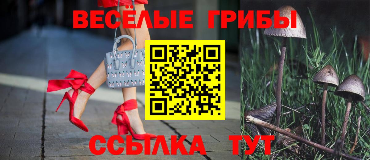 Псилоцибиновые грибы мицелий Ржев