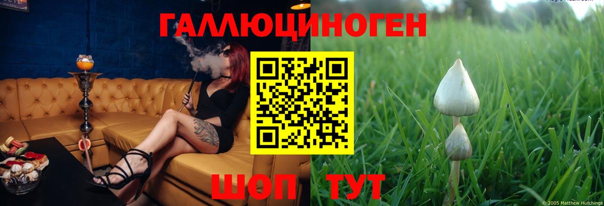 Галлюциногенные грибы ЛСД  Вход с VPN  Ржев 